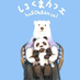 shirokuma