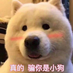 939617517
