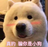 939617517