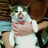 itcats