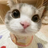 dawenxi001