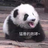 beijifengren