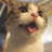 mikemintang