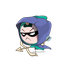 fvwmer