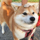 898601566