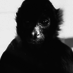 Monkeybaba