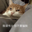 zhiyouwoshixixi