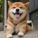 Cchino