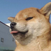 liubian