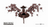 xtypebee
