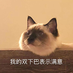 eitomomobaohua