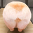 wlhgtc
