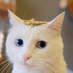 jinyoyyo