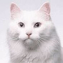 objcat