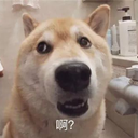 KuroPPP