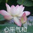 qingcao21