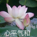 qingcao21