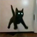 knightcatsq