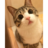 vimquee