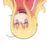 Kazenoto