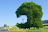 af_test