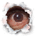 lufengd3