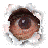lufengd3