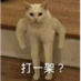 xiaogan18