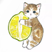 bottleCap