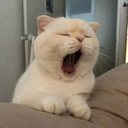 wakedy