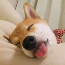 Glink