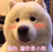 jack0123