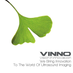 VINNO