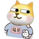 bucaibuer