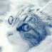 hellsnow
