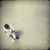 oilbeater