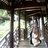 MrSong0607