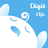 Digiteye