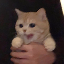 Paracosm