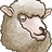 FunnyCodingXu