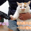 smtrap