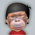 anoymoux