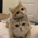 x9