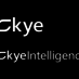 SkyeIntelligence