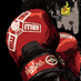boxer2077