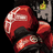 boxer2077