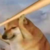 shujuecn
