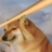 shujuecn