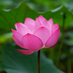 bestwishes