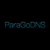ParaGoDNS